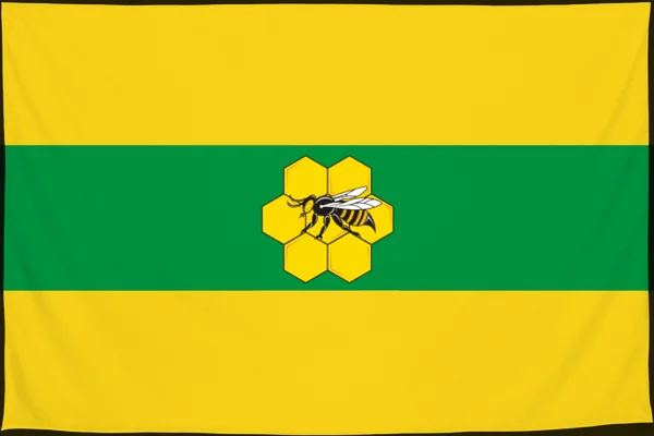 Флаг: Пестравский район